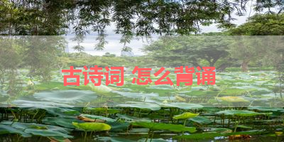 古诗词 怎么背诵 