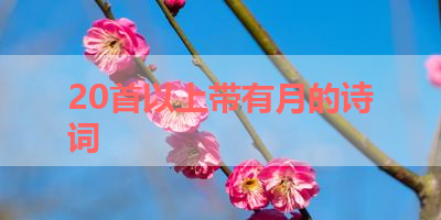 20首以上带有月的诗词 