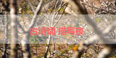 古诗词 描写夜 