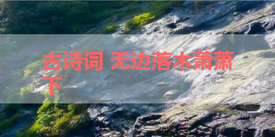 古诗词 无边落木萧萧下 