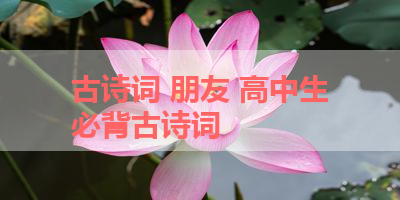 古诗词 朋友 高中生必背古诗词