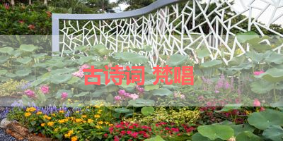 古诗词 梵唱 