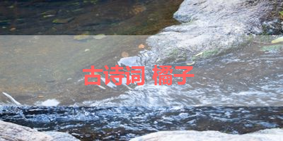 古诗词 橘子 