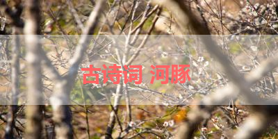 古诗词 河豚 