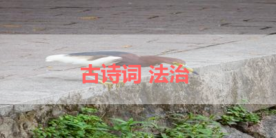 古诗词 法治 