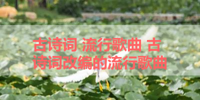 古诗词 流行歌曲 古诗词改编的流行歌曲