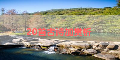 20首古诗加赏析 