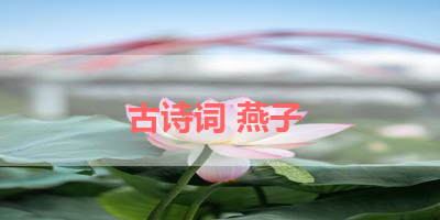 古诗词 燕子 