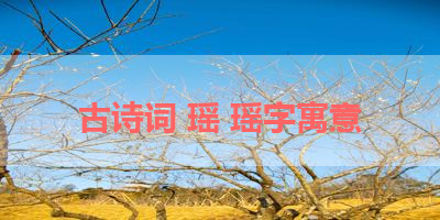 古诗词 瑶 瑶字寓意