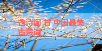 古诗词 甘 中国最美古诗词