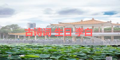 古诗词 生日 李白 