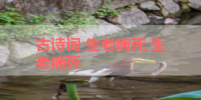 古诗词 生老病死 生老病死