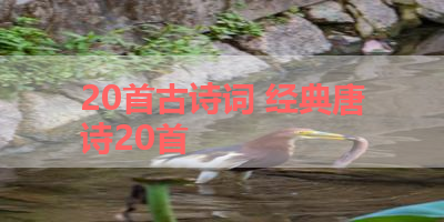 20首古诗词 经典唐诗20首