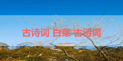 古诗词 白菜 古诗词