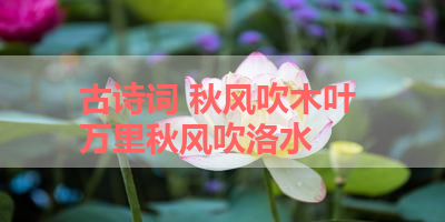 古诗词 秋风吹木叶 万里秋风吹洛水