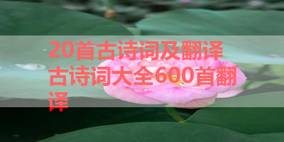 20首古诗词及翻译 古诗词大全600首翻译