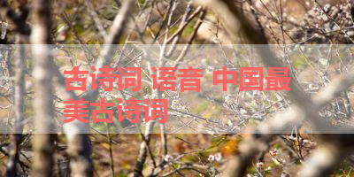 古诗词 语音 中国最美古诗词