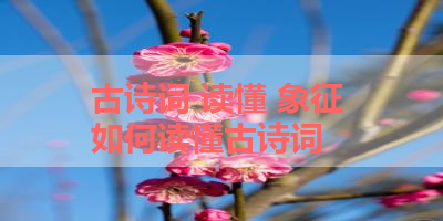 古诗词 读懂 象征 如何读懂古诗词