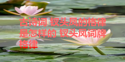 古诗词 钗头凤的格律是怎样的 钗头凤词牌格律