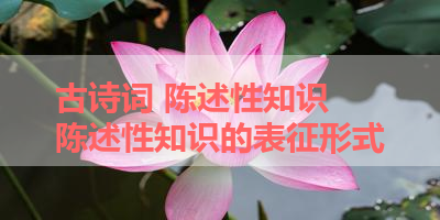 古诗词 陈述性知识 陈述性知识的表征形式