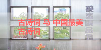 古诗词 马 中国最美古诗词