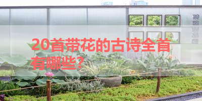 20首带花的古诗全首有哪些？ 