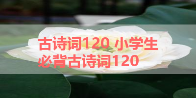 古诗词120 小学生必背古诗词120