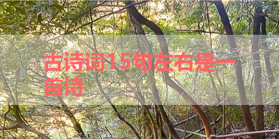 古诗词15句左右是一首诗 