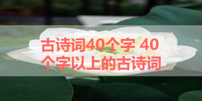 古诗词40个字 40个字以上的古诗词