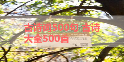 古诗词500句 古诗大全500首 