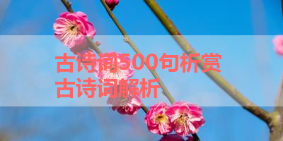 古诗词500句析赏 古诗词解析