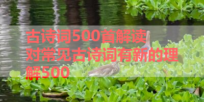 古诗词500首解读 对常见古诗词有新的理解500 