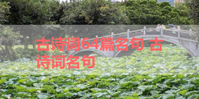古诗词64篇名句 古诗词名句