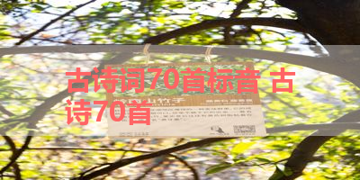 古诗词70首标音 古诗70首 