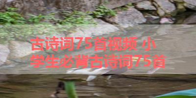 古诗词75首视频 小学生必背古诗词75首