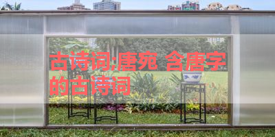 古诗词;唐宛 含唐字的古诗词 