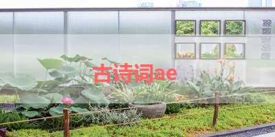 古诗词ae 