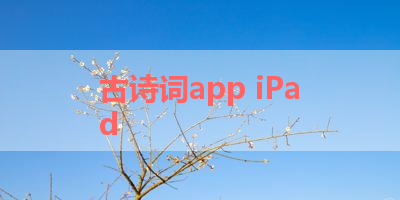 古诗词app iPad 