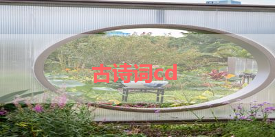 古诗词cd 