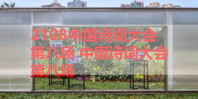 2108中国诗词大会第八场 中国诗词大会第八场