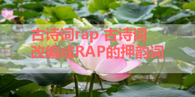 古诗词rap 古诗词改编成RAP的押韵词 