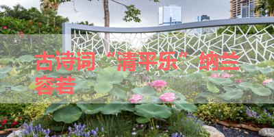 古诗词“清平乐”纳兰容若 