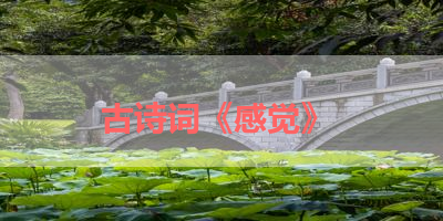 古诗词《感觉》 