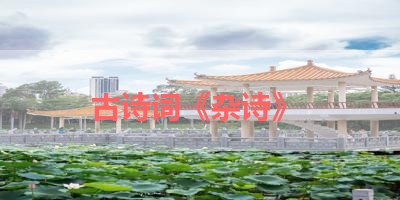 古诗词《杂诗》 