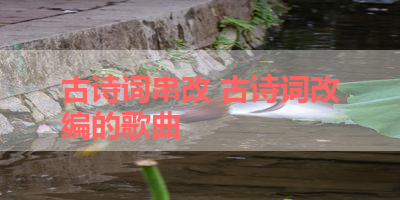 古诗词串改 古诗词改编的歌曲