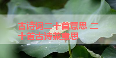 古诗词二十首意思 二十首古诗兼意思 