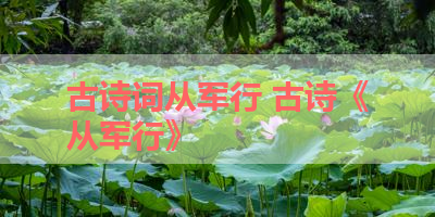 古诗词从军行 古诗《从军行》 