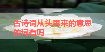 古诗词从头再来的意思的词有吗 