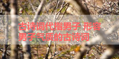 古诗词代指男子 形容男子气质的古诗词