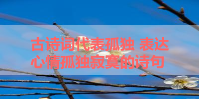 古诗词代表孤独 表达心情孤独寂寞的诗句 